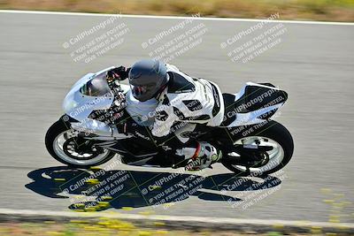 media/May-10-2024-2WTD (Fri) [[c88d7990af]]/Group C/Session 2-The Bowl/